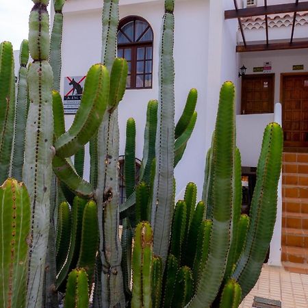 Las Bouganvillas 1 Bed Apartment In Costa Adeje Exteriör bild